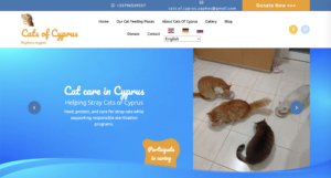 Cats of Cyprus